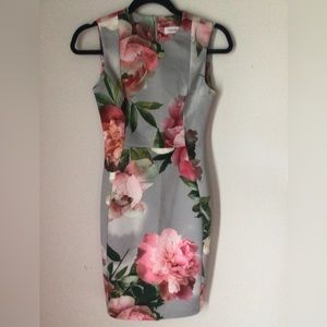 Calvin Klein Dress in 2/4p